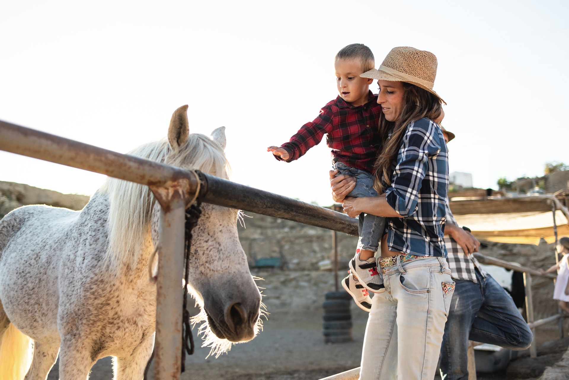 Mutter und Kind füttern Pferd | Stalleinrichtung