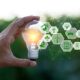 Hand hält Glühbirne mit Symbolen für grüne Energie | Heizölpreise NRW