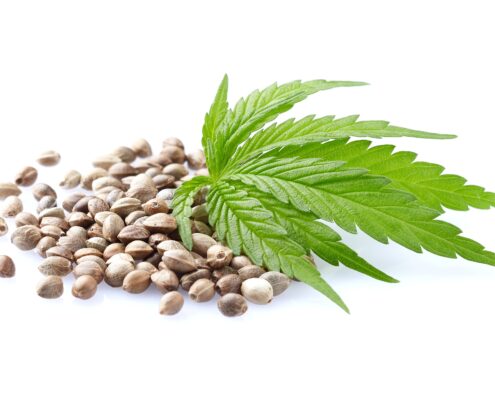 Blue Zushi_Ganja Farmer